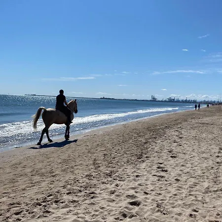 Avenida Mare Nostrum 7 Patacona Breakfast Items In The Valenza